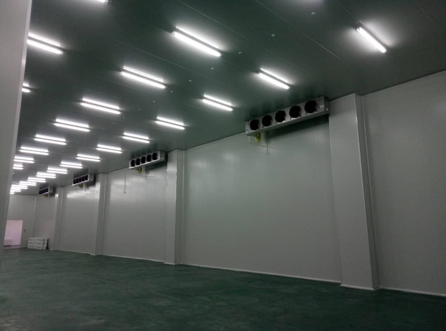 建造-35℃～-40℃急凍庫設計費用價格多少錢？