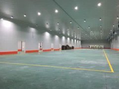 500噸山藥恒溫冷藏庫造價多少錢一平米，一天耗電量多少錢