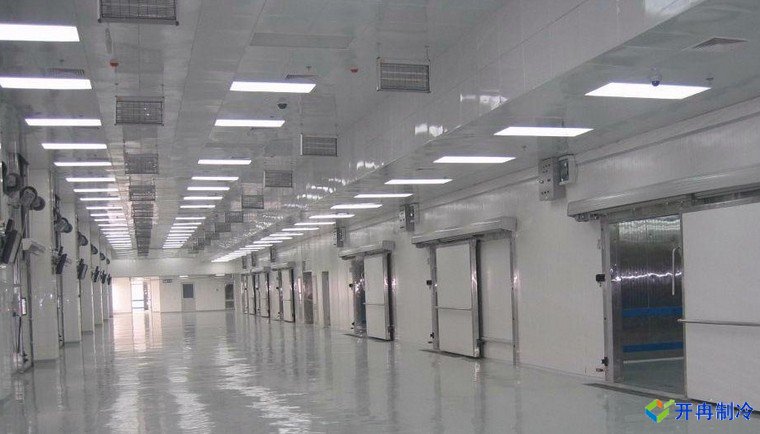 建造500噸帶魚低溫冷庫，海鮮冷凍庫報價